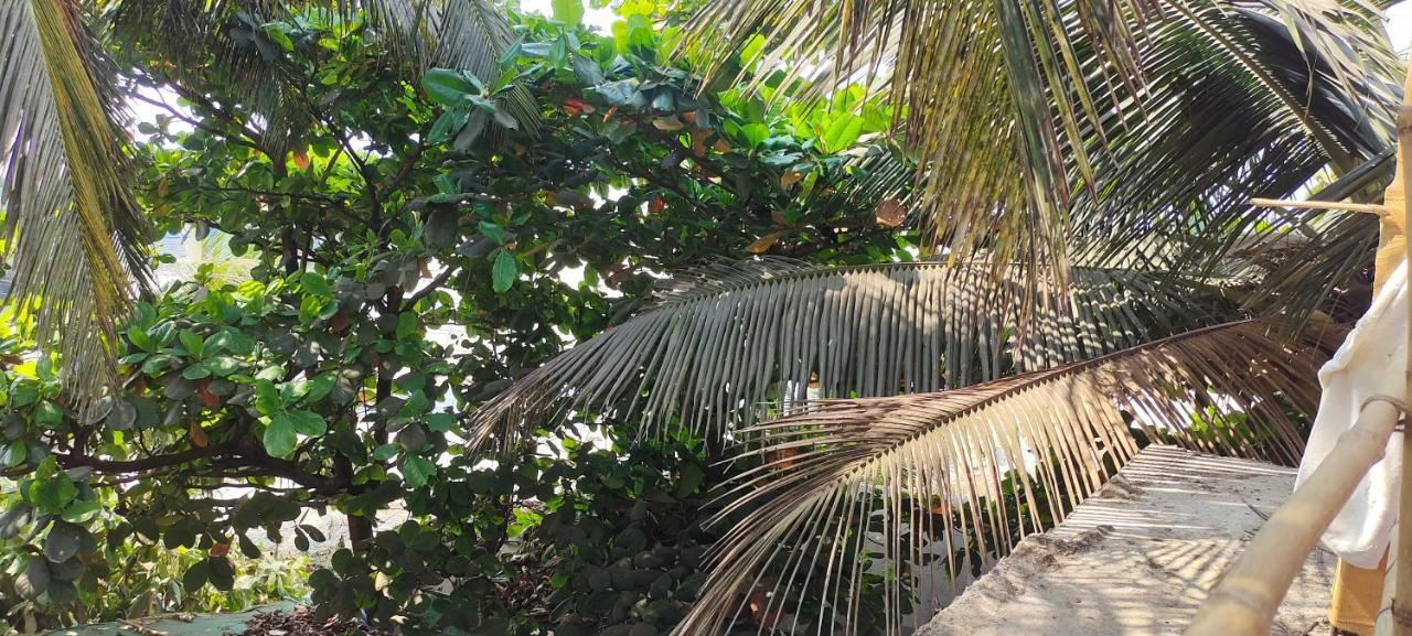 Est Hem Guesthouse Arambol Exterior foto
